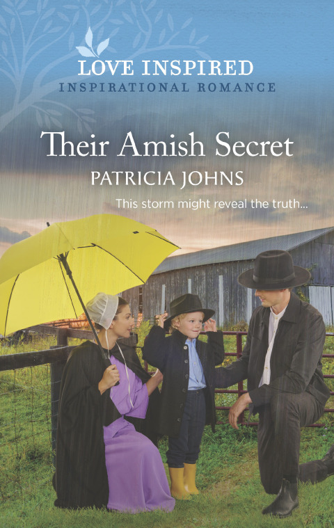 Cover image for book Their Amish Secret