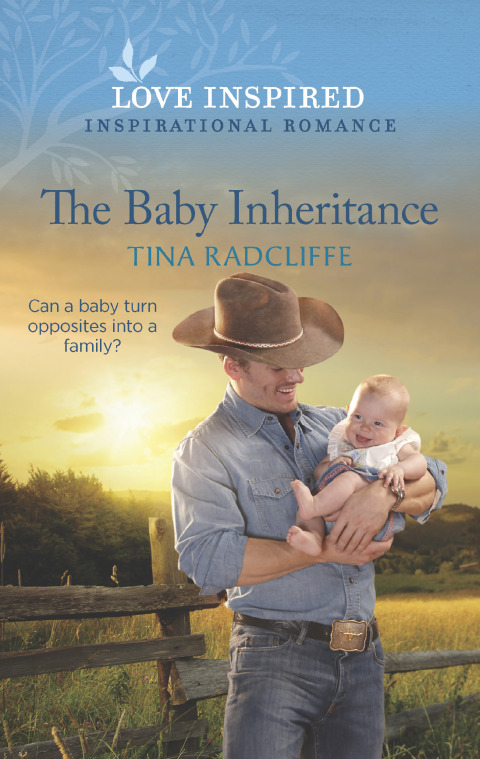 Cover image for book The Baby Inheritance