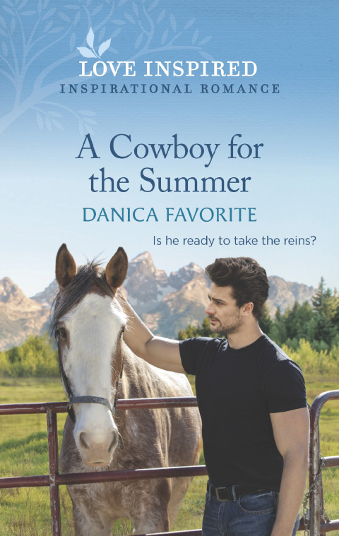 Cover image for book A Cowboy for the Summer