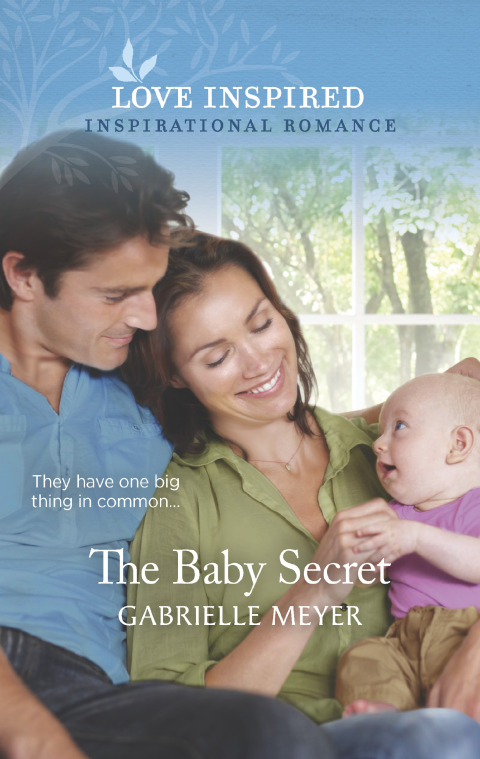 Cover image for book The Baby Secret