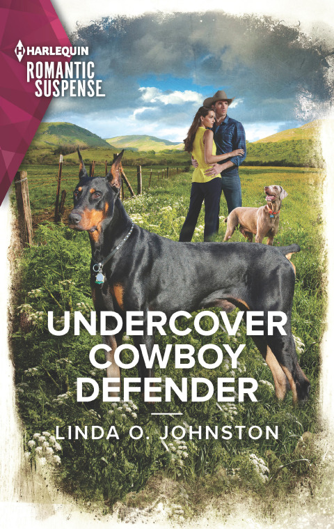 Cover image for book Undercover Cowboy Defender