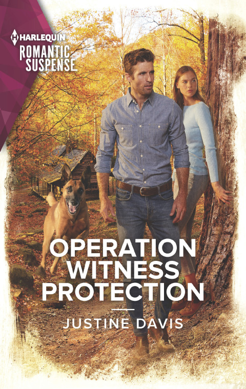 Cover image for book Operation Witness Protection