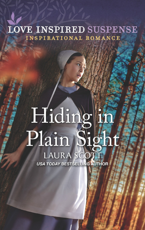 Cover image for book Hiding in Plain Sight