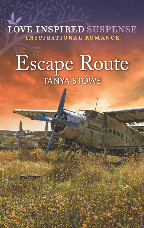 Cover image for book Escape Route