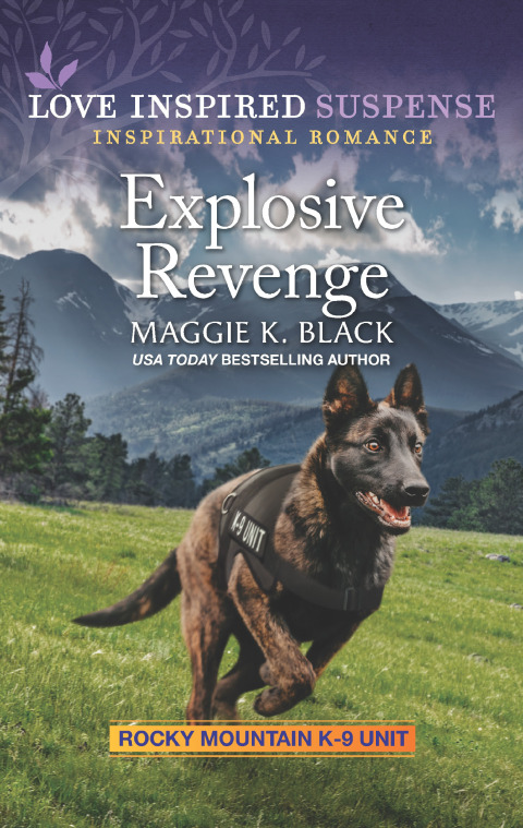 Cover image for book Explosive Revenge