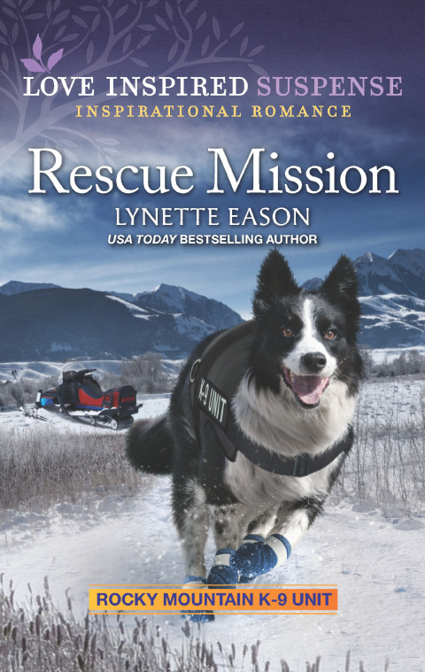 Cover image for book Rescue Mission