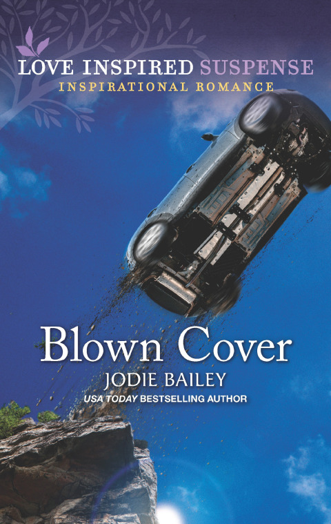 Cover image for book Blown Cover