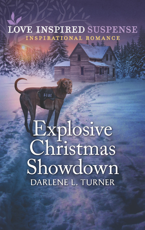 Cover image for book Explosive Christmas Showdown