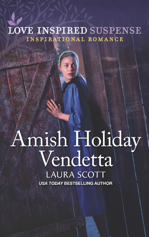 Cover image for book Amish Holiday Vendetta