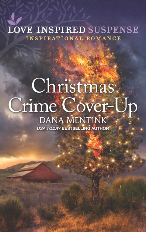 Cover image for book Christmas Crime Cover-Up