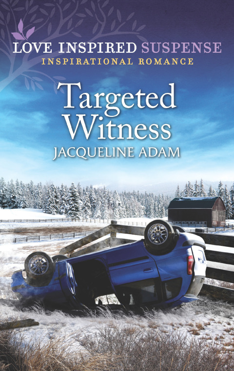 Cover image for book Targeted Witness