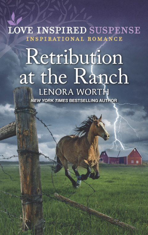 Cover image for book Retribution at the Ranch