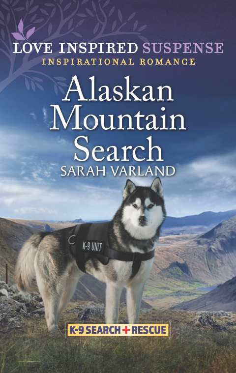 Cover image for book Alaskan Mountain Search