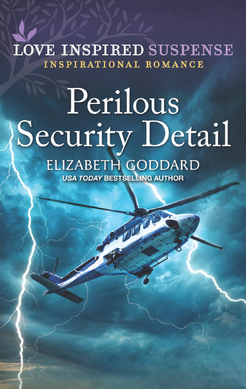 Cover image for book Perilous Security Detail