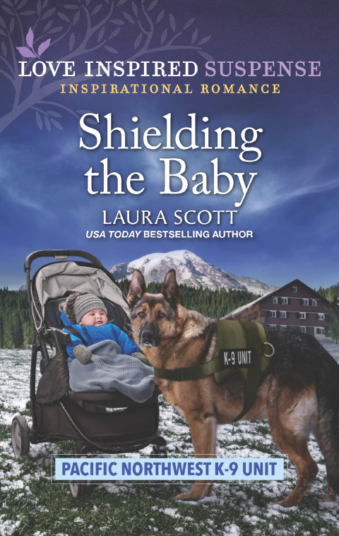 Cover image for book Shielding the Baby