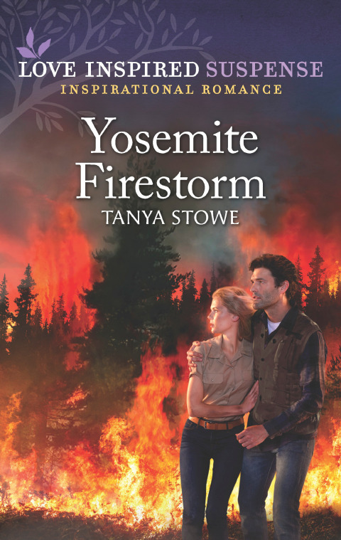 Cover image for book Yosemite Firestorm
