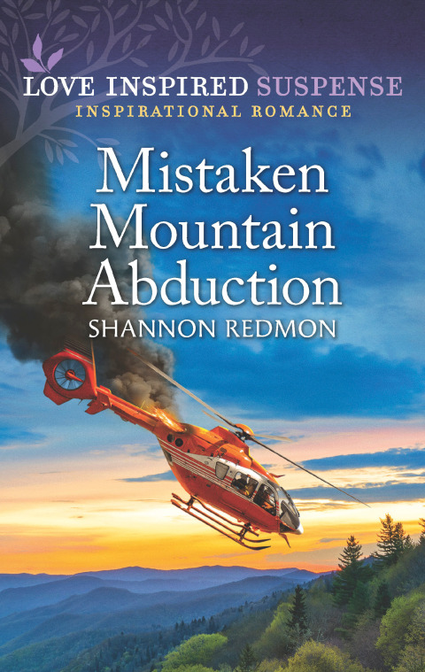 Cover image for book Mistaken Mountain Abduction