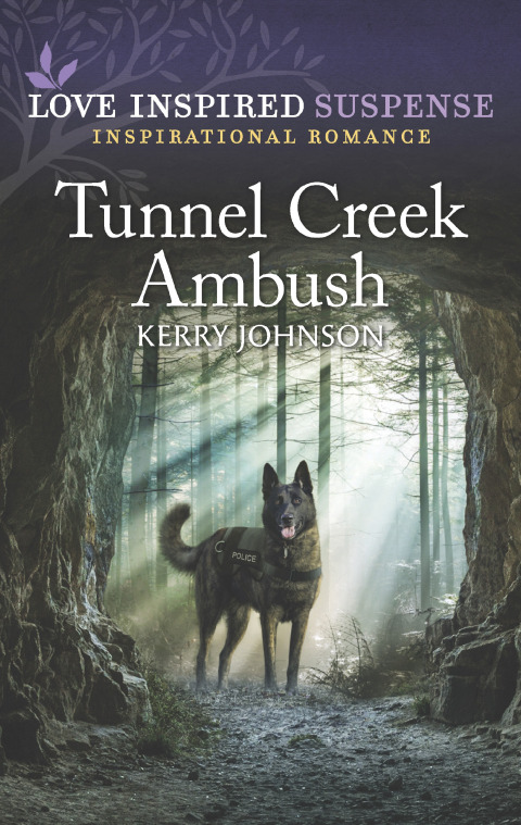 Cover image for book Tunnel Creek Ambush