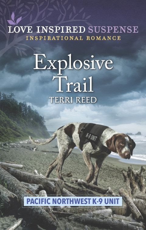 Cover image for book Explosive Trail