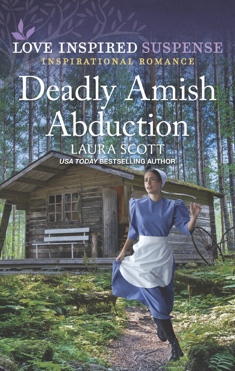 Cover image for book Deadly Amish Abduction