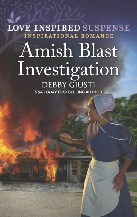 Cover image for book Amish Blast Investigation