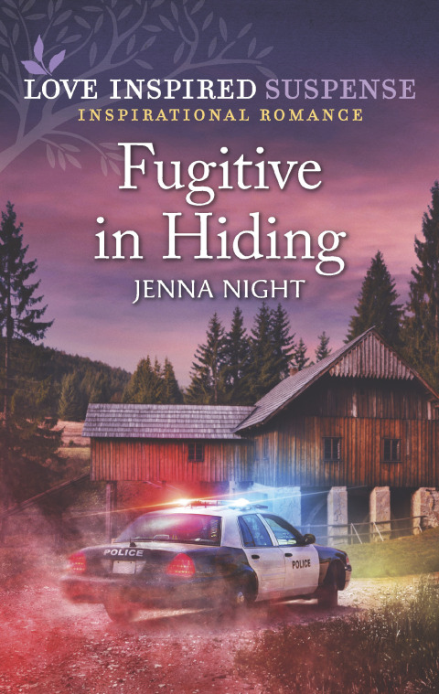 Cover image for book Fugitive in Hiding