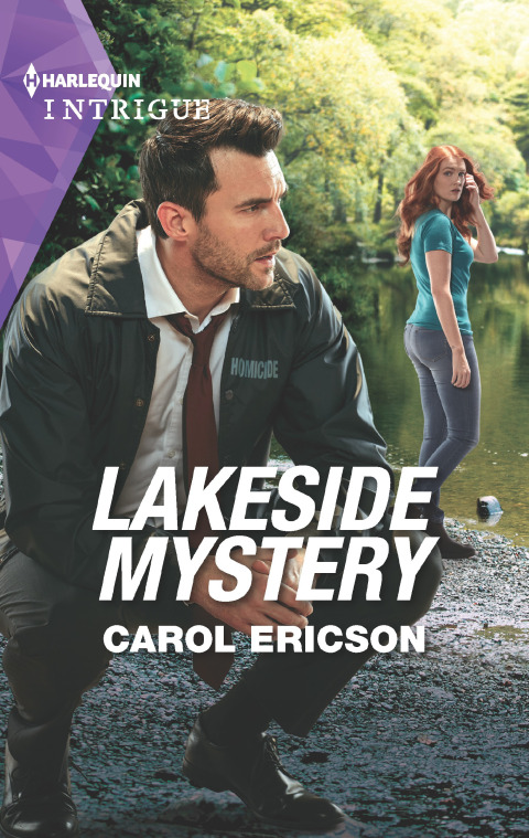 Cover image for book Lakeside Mystery