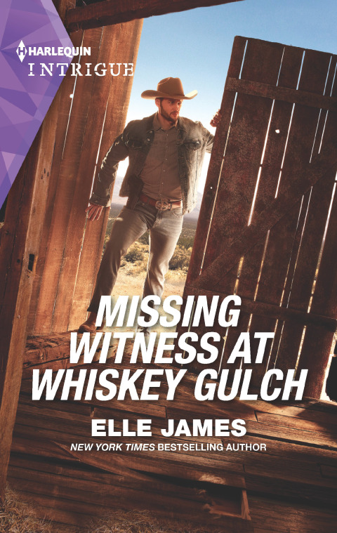 Cover image for book Missing Witness at Whiskey Gulch