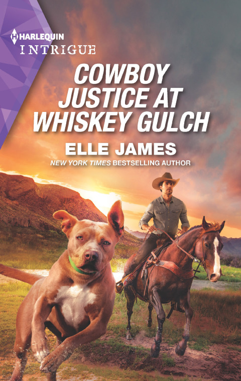Cover image for book Cowboy Justice at Whiskey Gulch