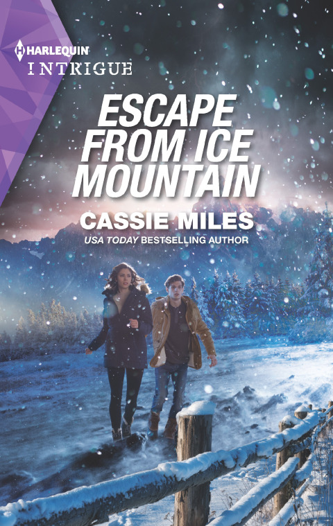 Cover image for book Escape from Ice Mountain