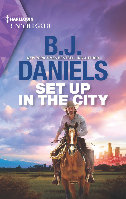 Cover image for book Set Up in the City