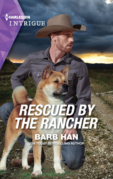 Cover image for book Rescued by the Rancher