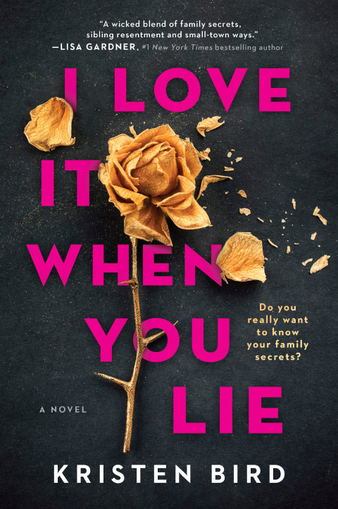 Cover image for book I Love It When You Lie