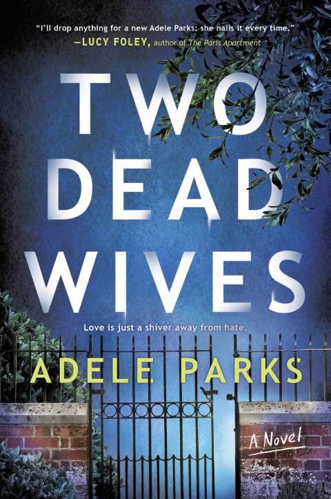 Cover image for book Two Dead Wives