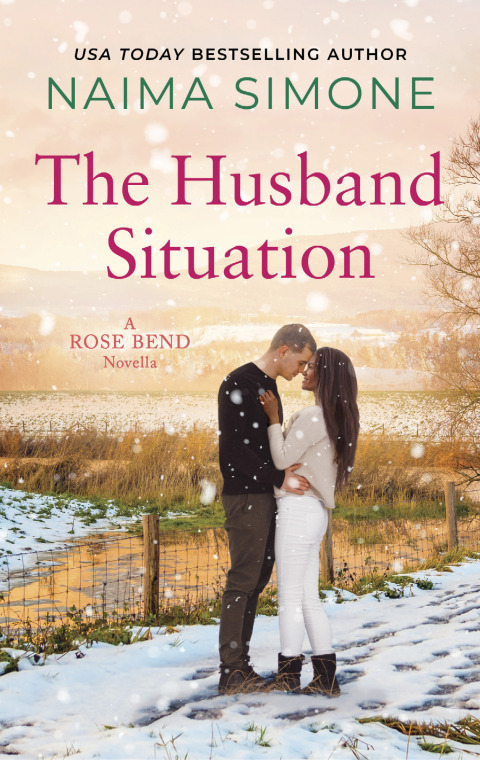 Cover image for book The Husband Situation