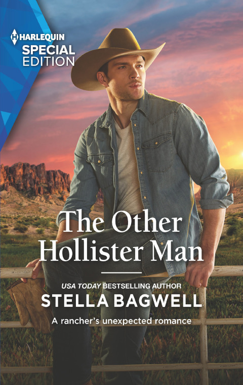 Cover image for book The Other Hollister Man