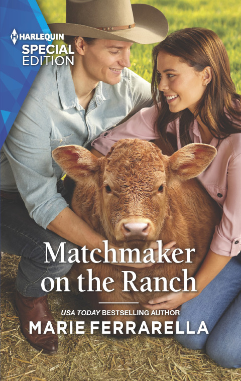 Cover image for book Matchmaker on the Ranch