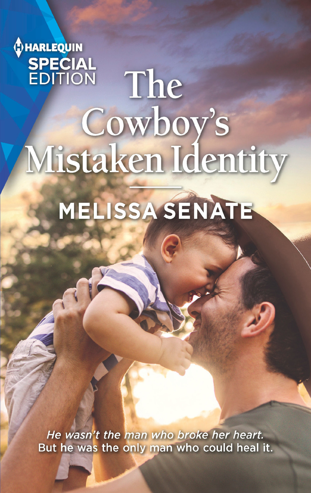 Reflowable The Cowboy's Mistaken Identity; $5.54
