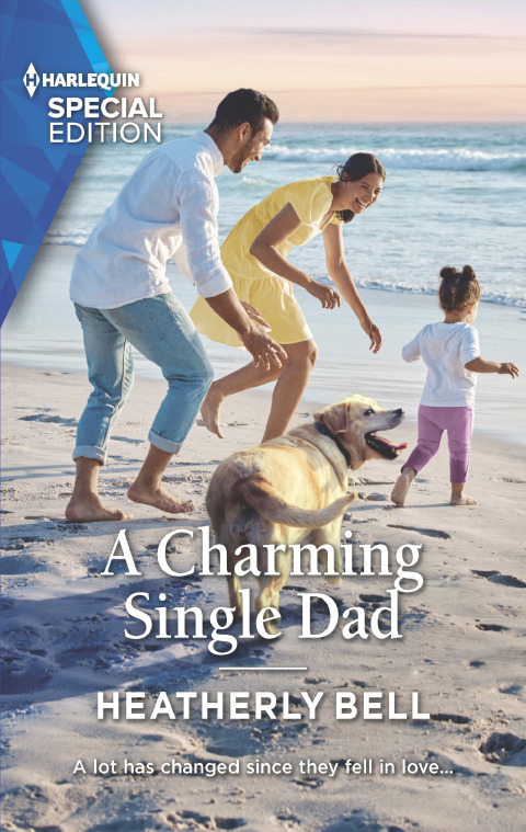 Cover image for book A Charming Single Dad
