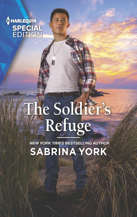 Cover image for book The Soldier's Refuge