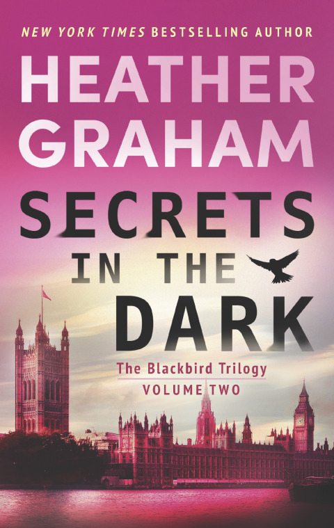 Cover image for book Secrets in the Dark