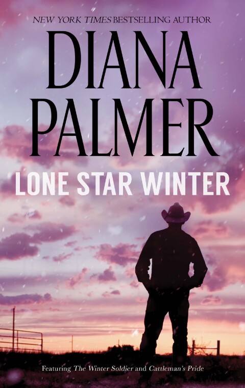 Cover image for book Lone Star Winter