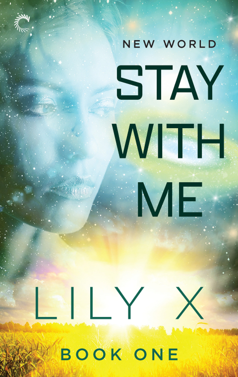 Cover image for book Stay with Me