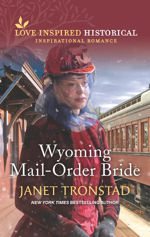 Cover image for book Wyoming Mail-Order Bride