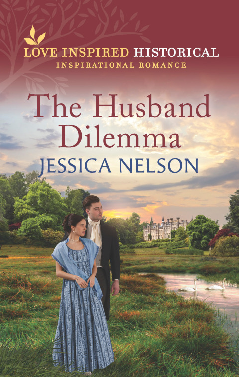 Cover image for book The Husband Dilemma