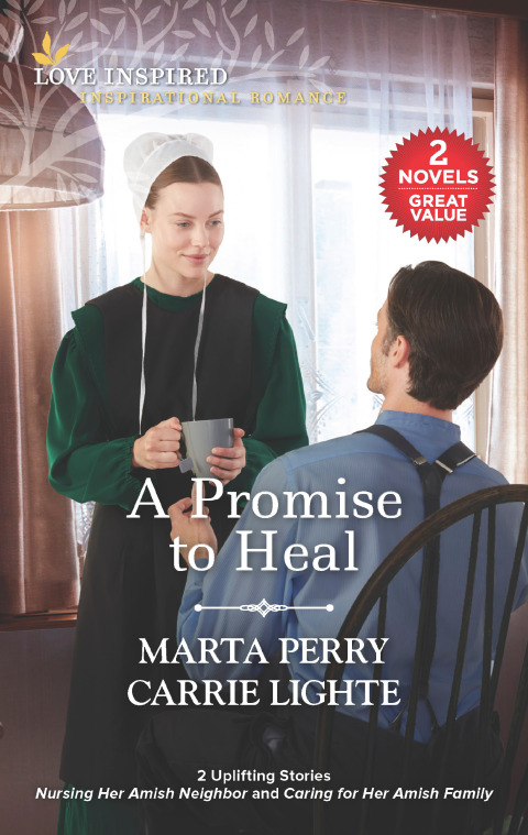 Cover image for book A Promise to Heal