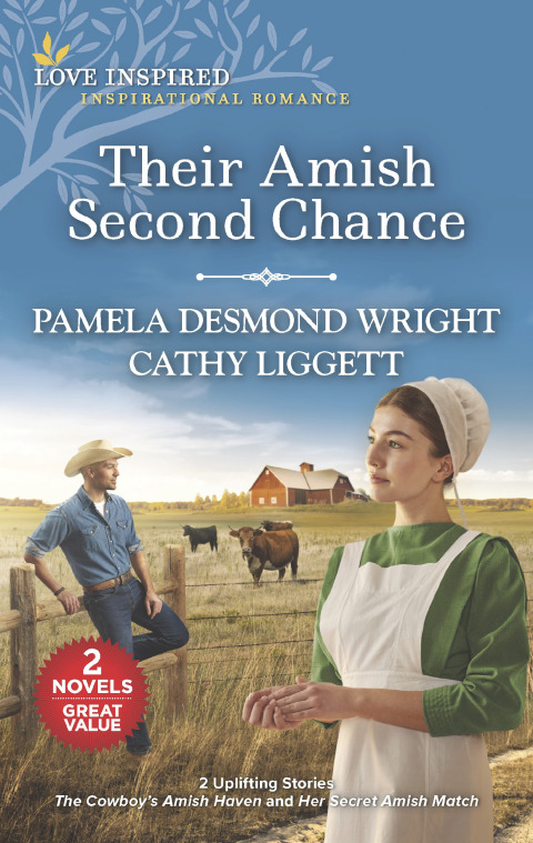 Cover image for book Their Amish Second Chance