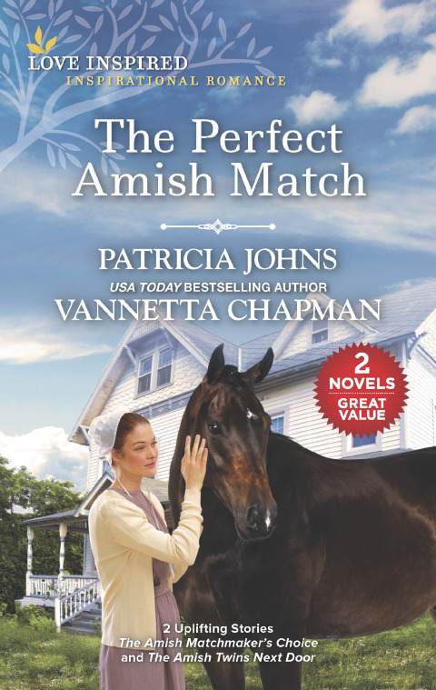 Cover image for book The Perfect Amish Match