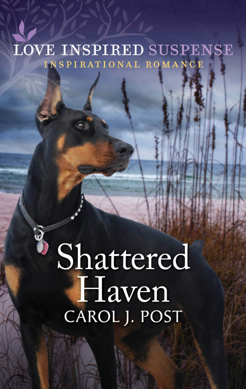 Cover image for book Shattered Haven