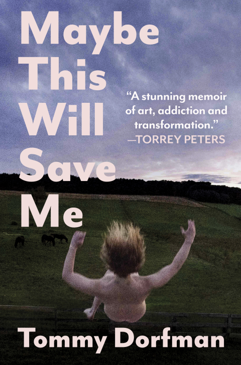 Cover image for book Maybe This Will Save Me